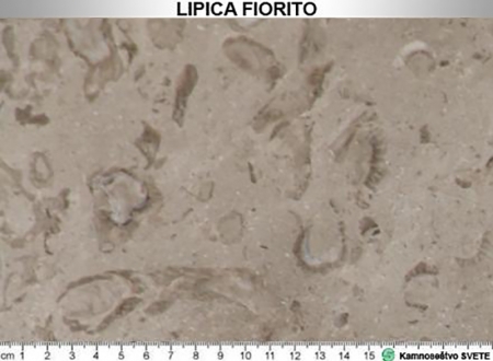 lipica fiorito